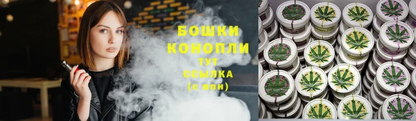 гидра Горняк