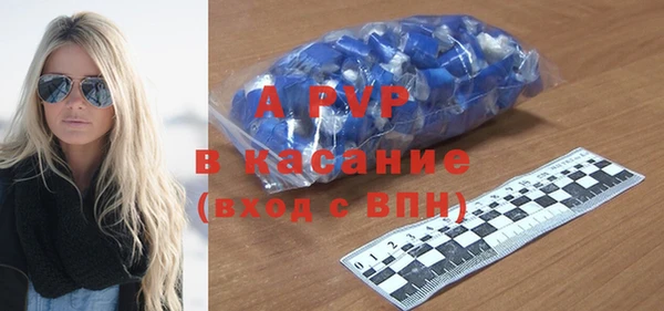 гидра Горняк